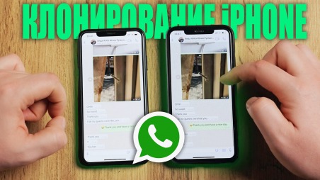 Как скопировать всю историю WhatsApp на другой iPhone с другим номером телефона? Без iCloud