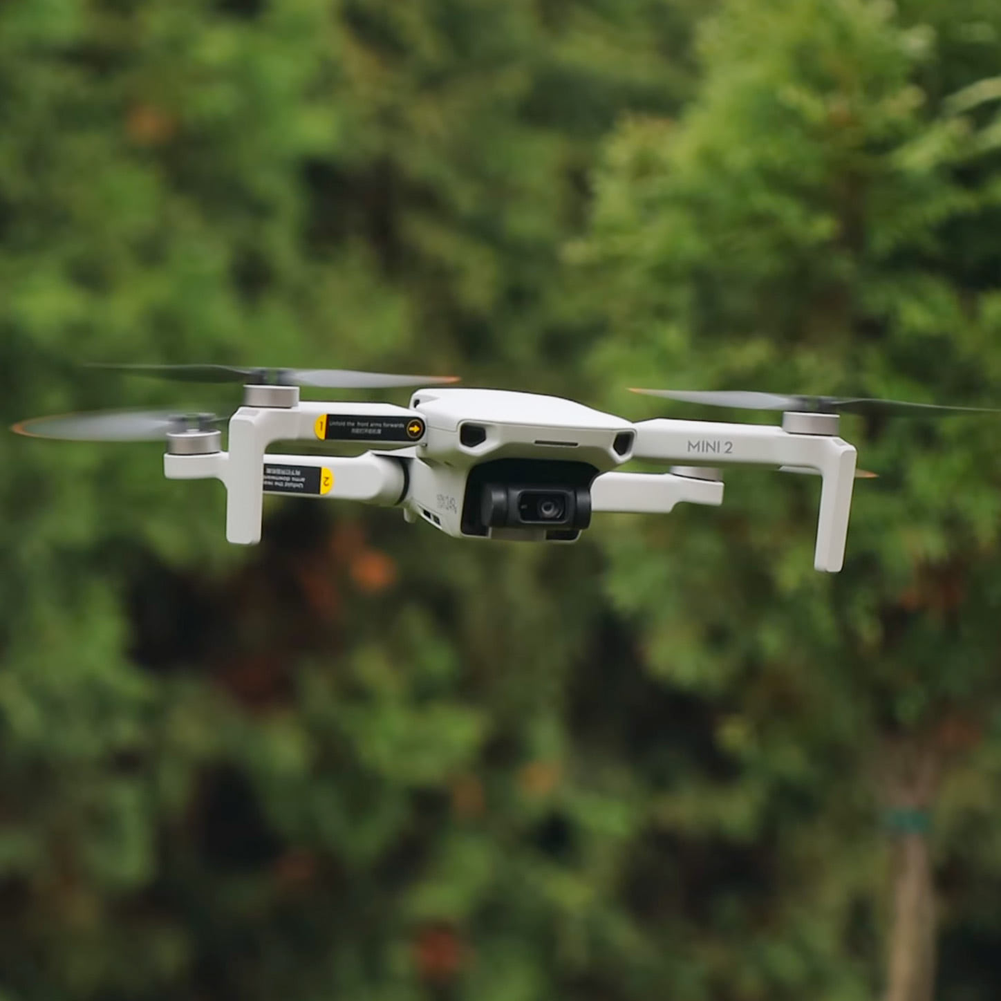 Dji Mini 2 - лучший коптер для съемки в путешествиях