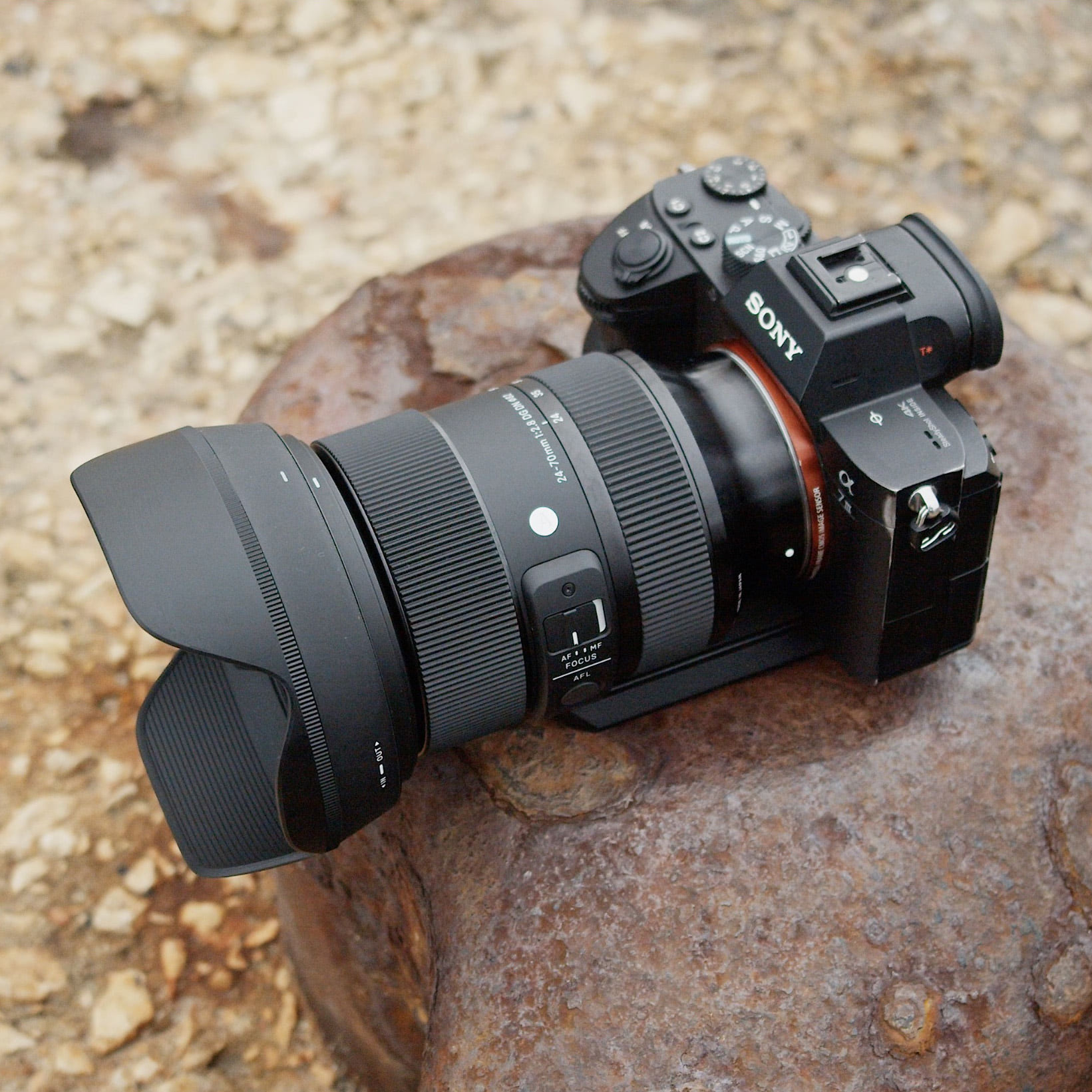 Обзор Sigma 24-70 F2.8 DG DN для Sony E-mount